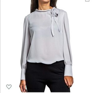 Silver Gray Blouse New